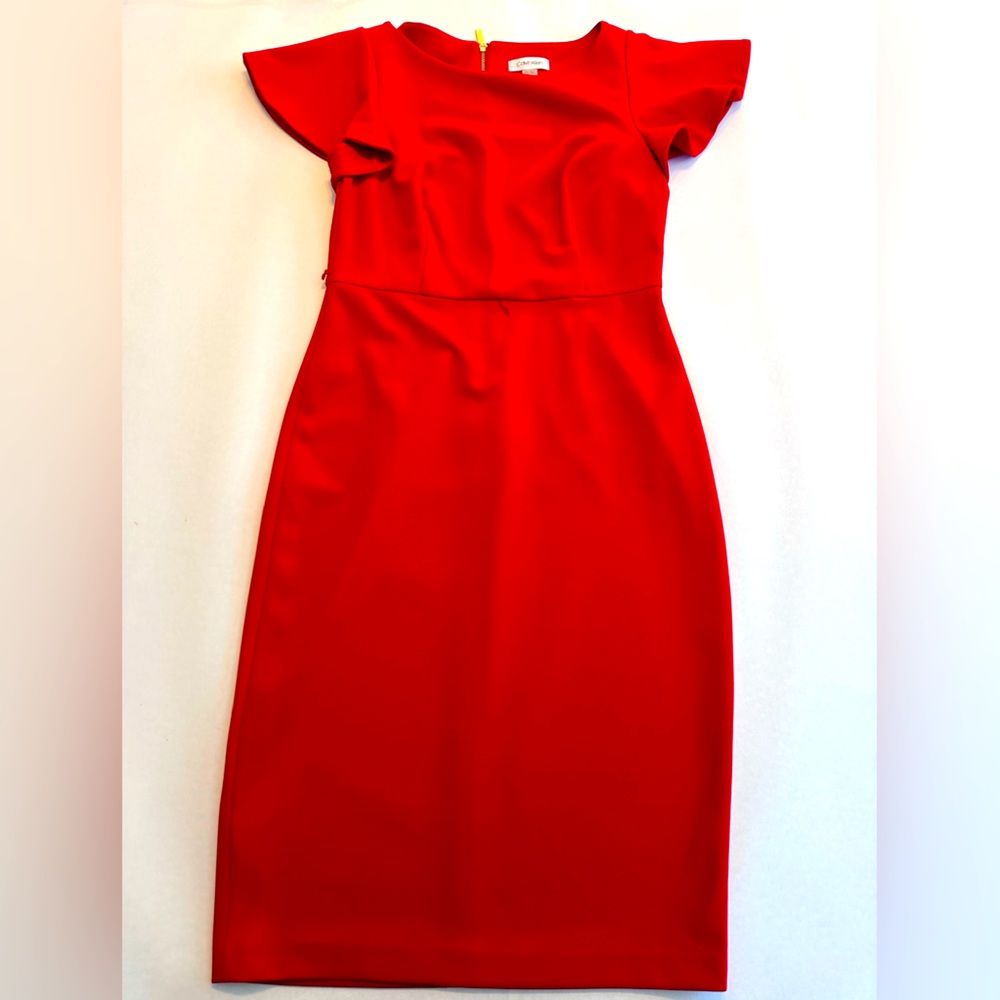 Calvin Klein Belted Ruffle Sleeve Sheath Dress Size 6